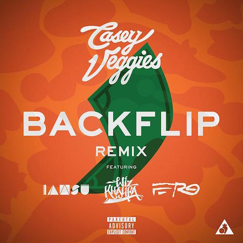 Casey Veggies “Backflip” Remix #2 ft Wiz & A$AP Ferg