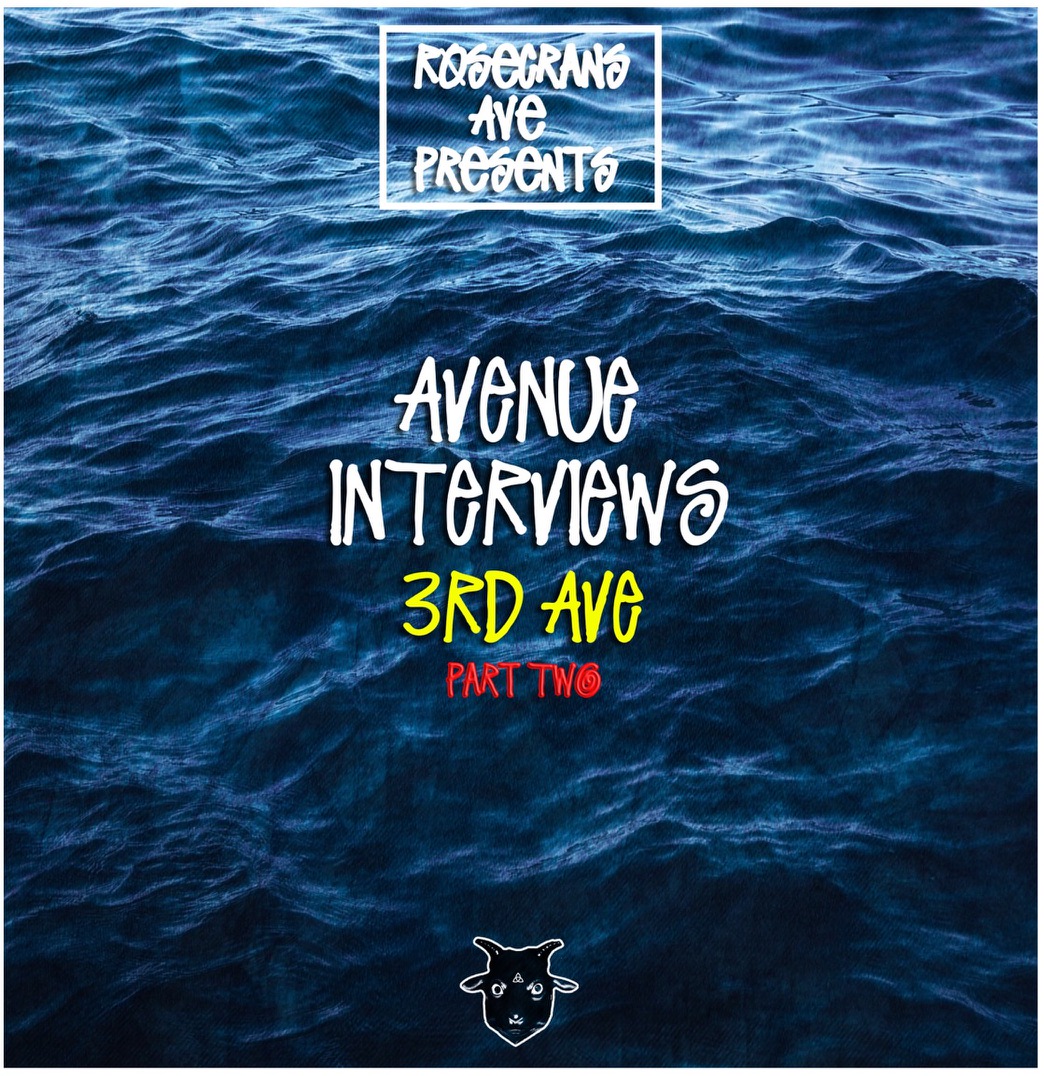 Avenue Interviews 3rd Ave Part Two by Vic Stunts
