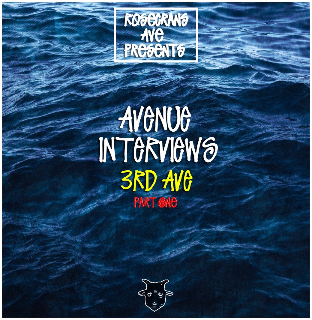 Avenue Interviews 3rd Ave (Part One) by Vic Stunts