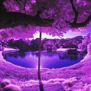 The Game – “Rest In Purple” (Prince Tribute)