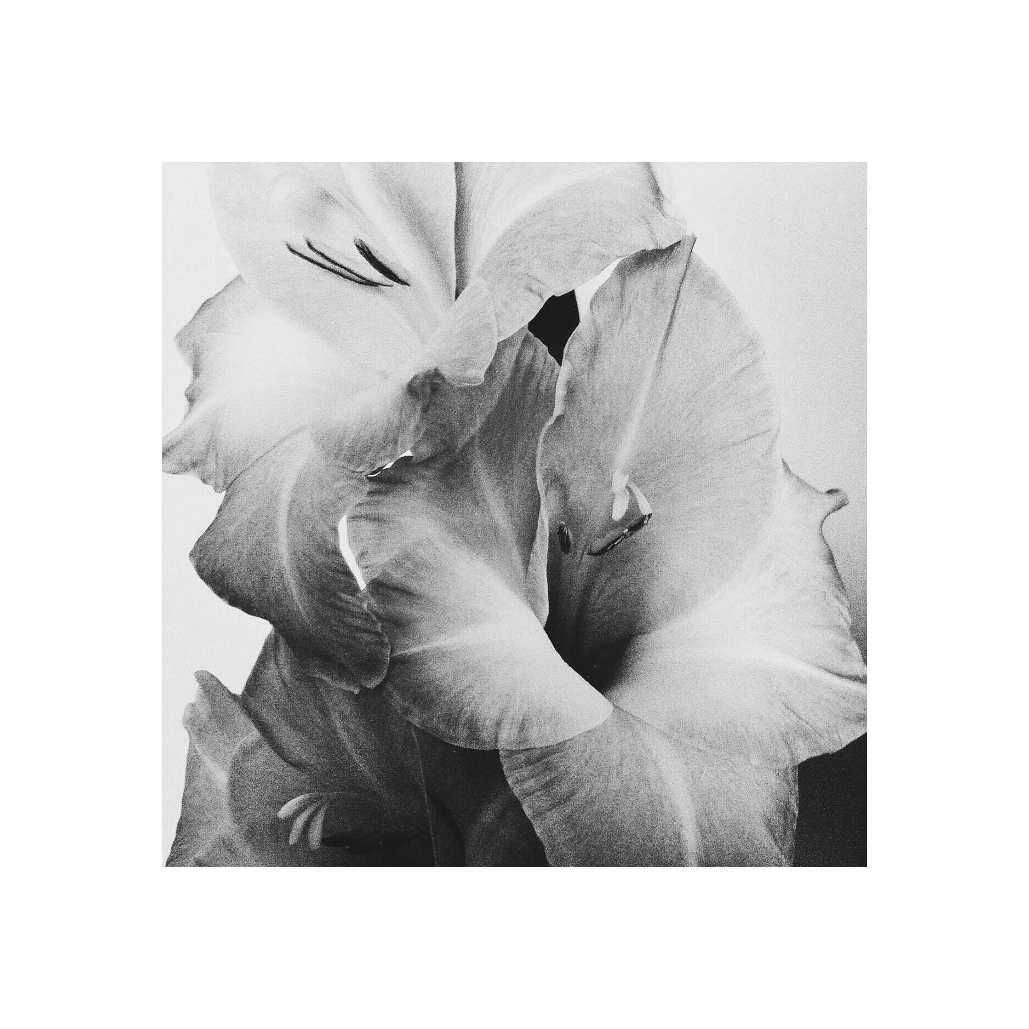 PREMIERE: Dylan Echo “Love Analogy / Without You”