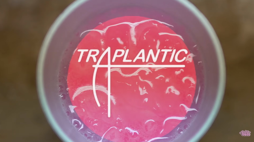 Rob Vicious of Shoreline Mafia – “Traplantic” Music Video