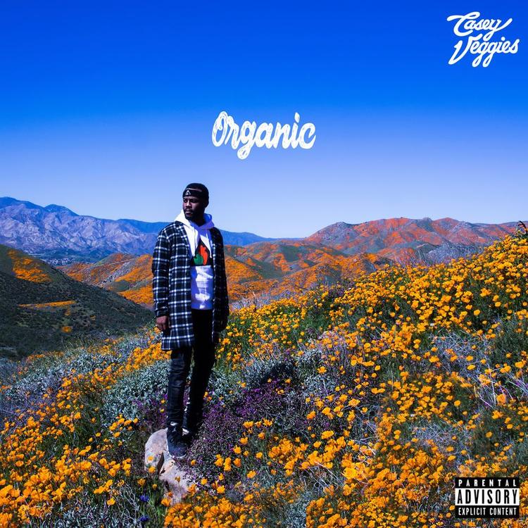 Casey Veggies – “Organic”